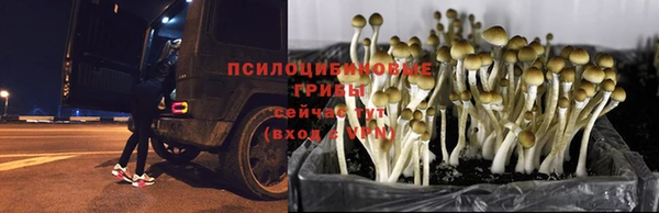 MDMA Аркадак