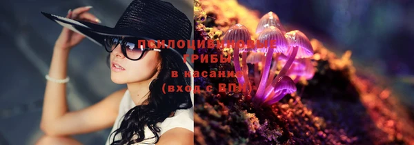 дурь Армянск