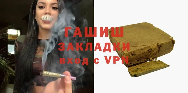 твердый Инсар