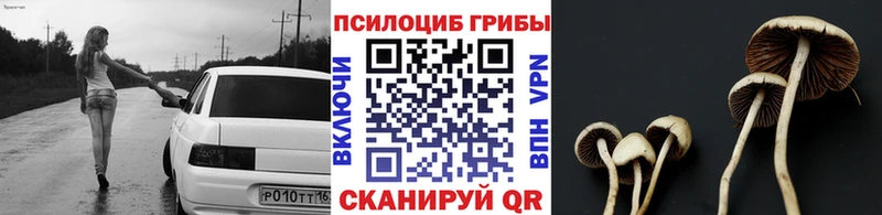 закладки  Починок  Псилоцибиновые грибы ЛСД 